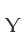 Y