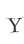 Y