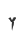 Y