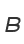 B